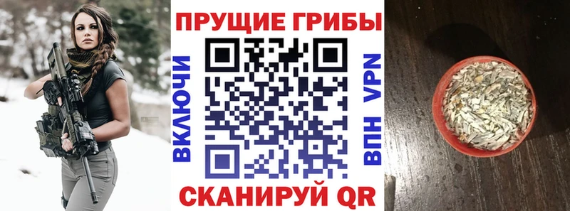цена   Шумиха  Псилоцибиновые грибы MAGIC MUSHROOMS 