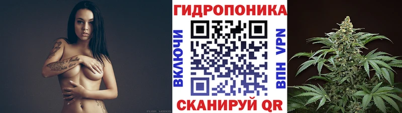 цены Шумиха Каннабис MAZAR